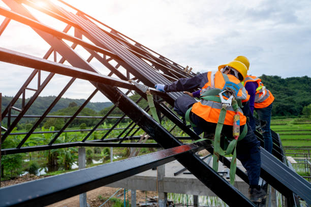 Best Residential Roofing Contractor  in Royalton, IL