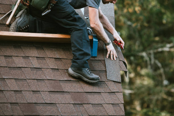 Best Residential Roofing Contractor  in Royalton, IL