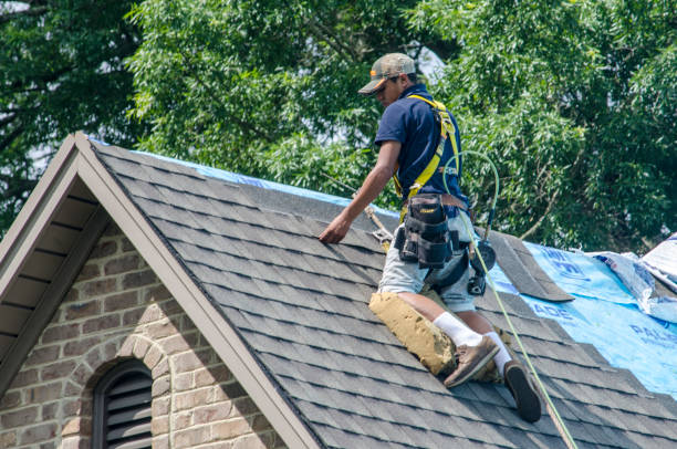Best Shingle Roofing Installation  in Royalton, IL
